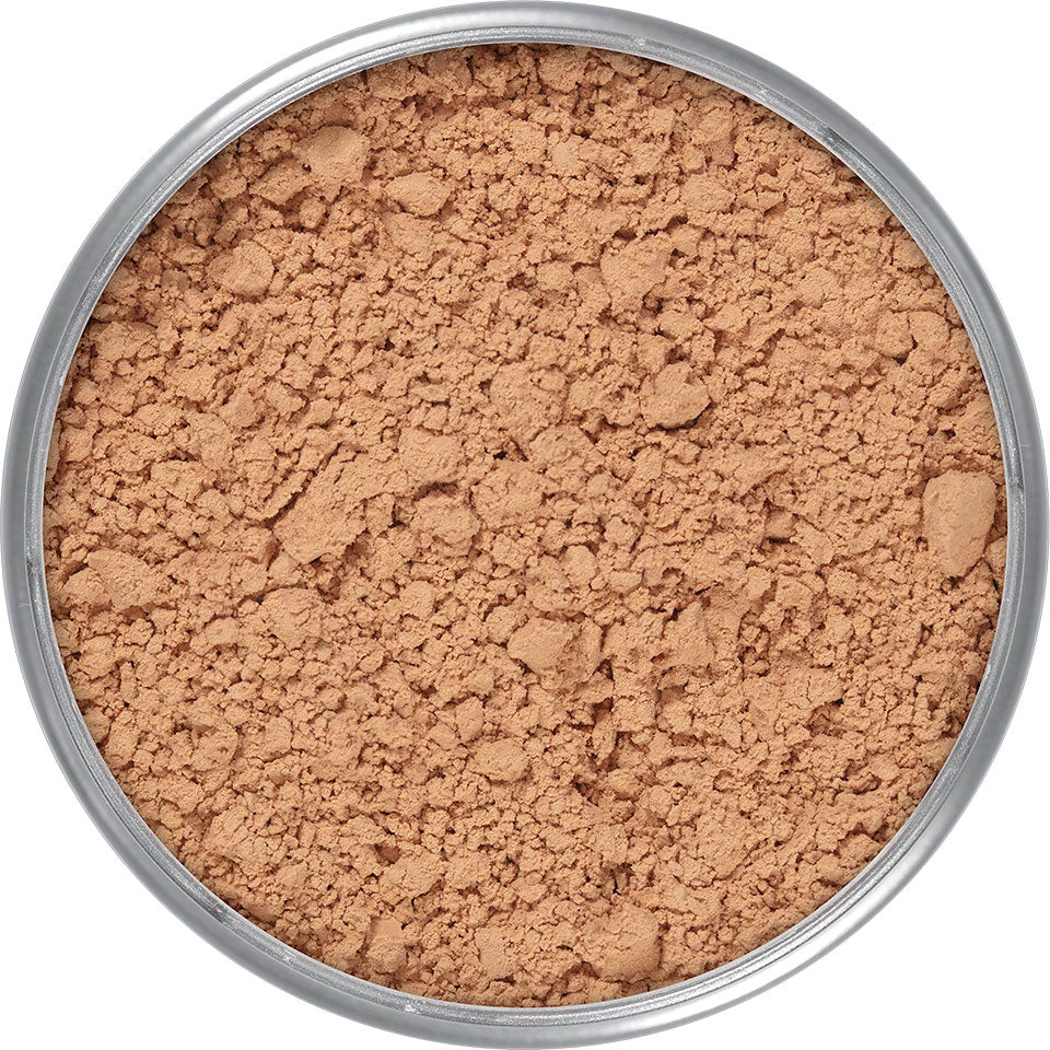 TRANSLUCENT POWDER VIP