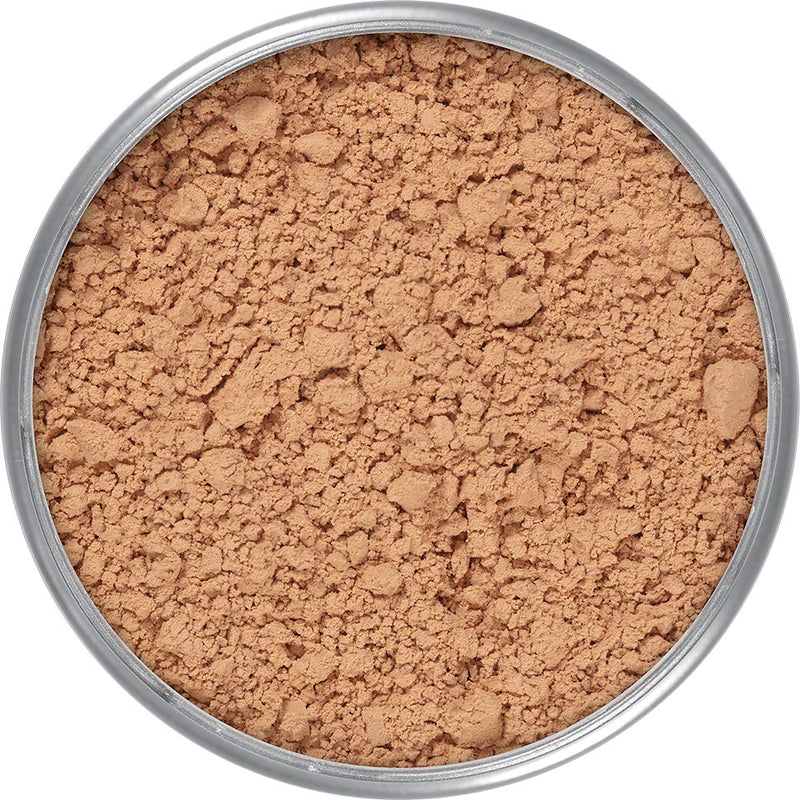 TRANSLUCENT POWDER